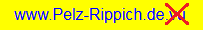vorherige Internetseite